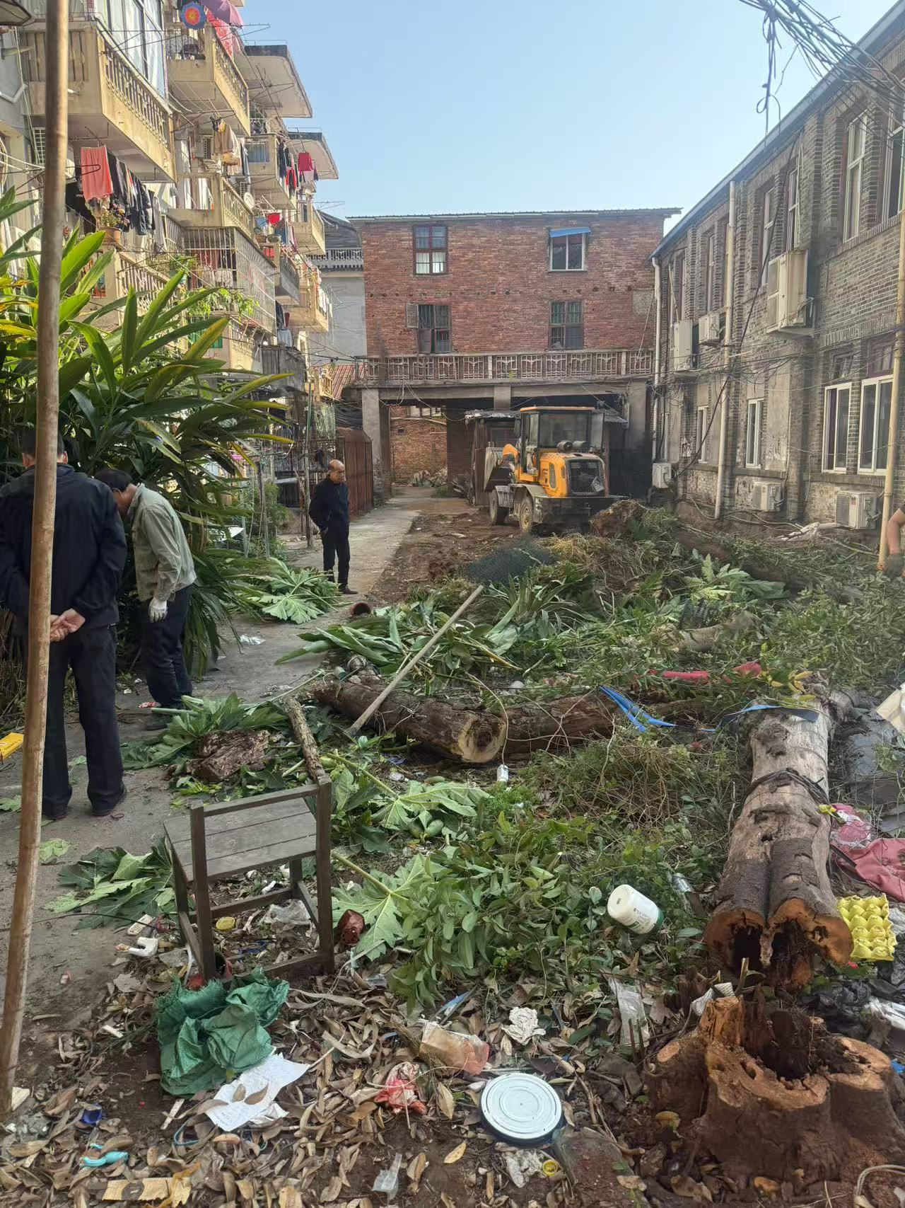 图片1.png 图片1.png