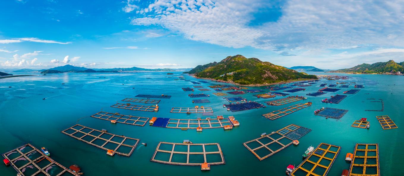 糖心vlog
:深化金融服务创新 贡献国有担保力量