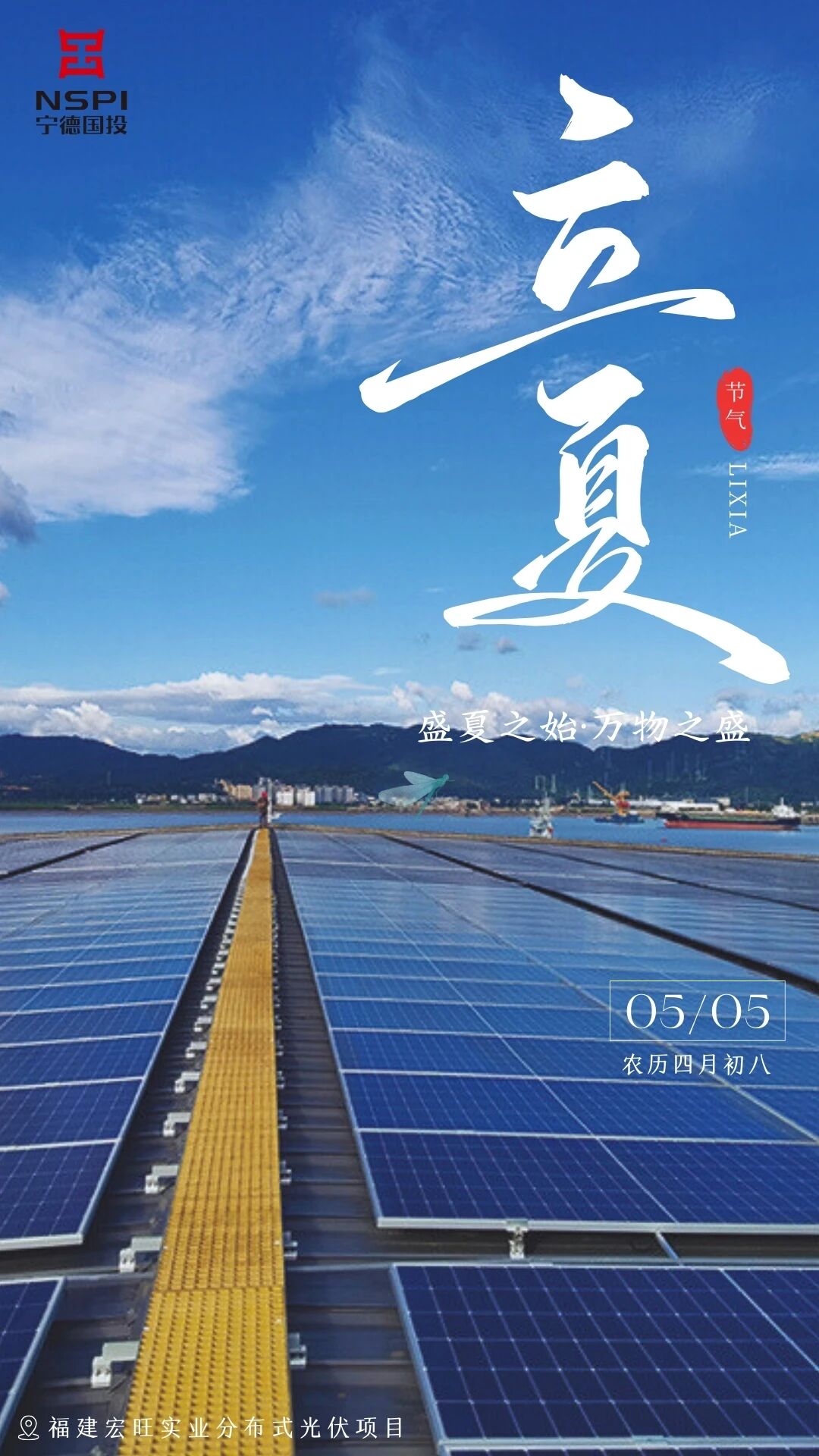 【节气·立夏】一叶知夏 万木葱茏